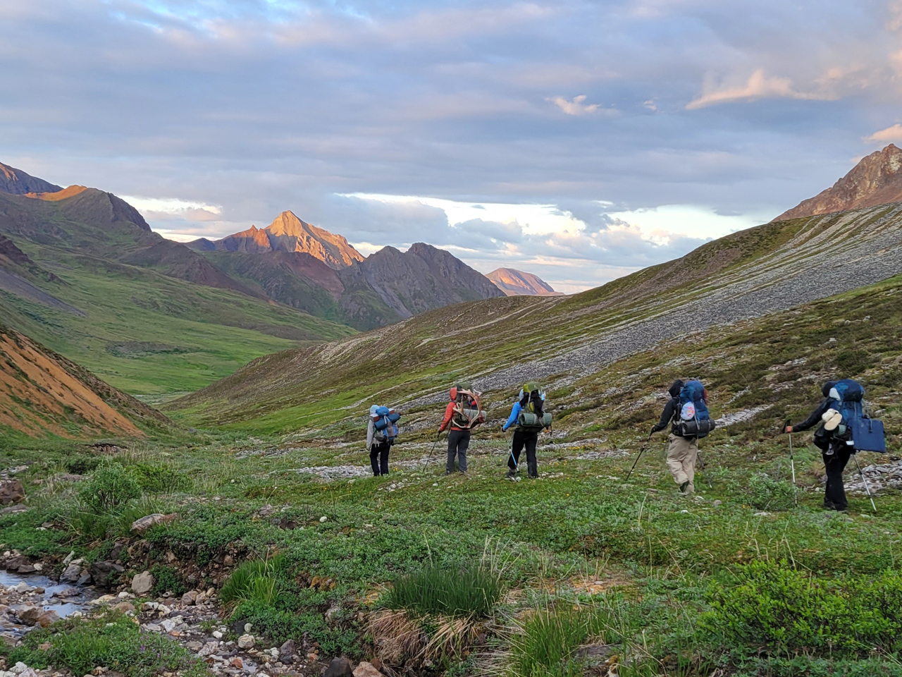 Screen Doors, Window Screens, Porches, & Screen Repair | Screenmobile